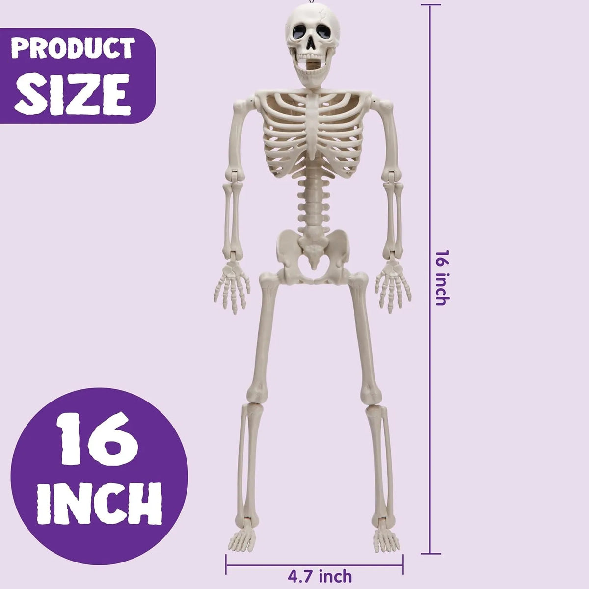 Halloween Skeleton Photobooth Props – 5pcs