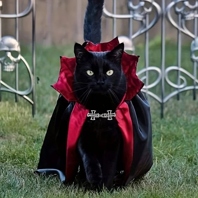Halloween Vampire Cat Costume – Spooky Cloak & Hat Pet Dress-Up Set