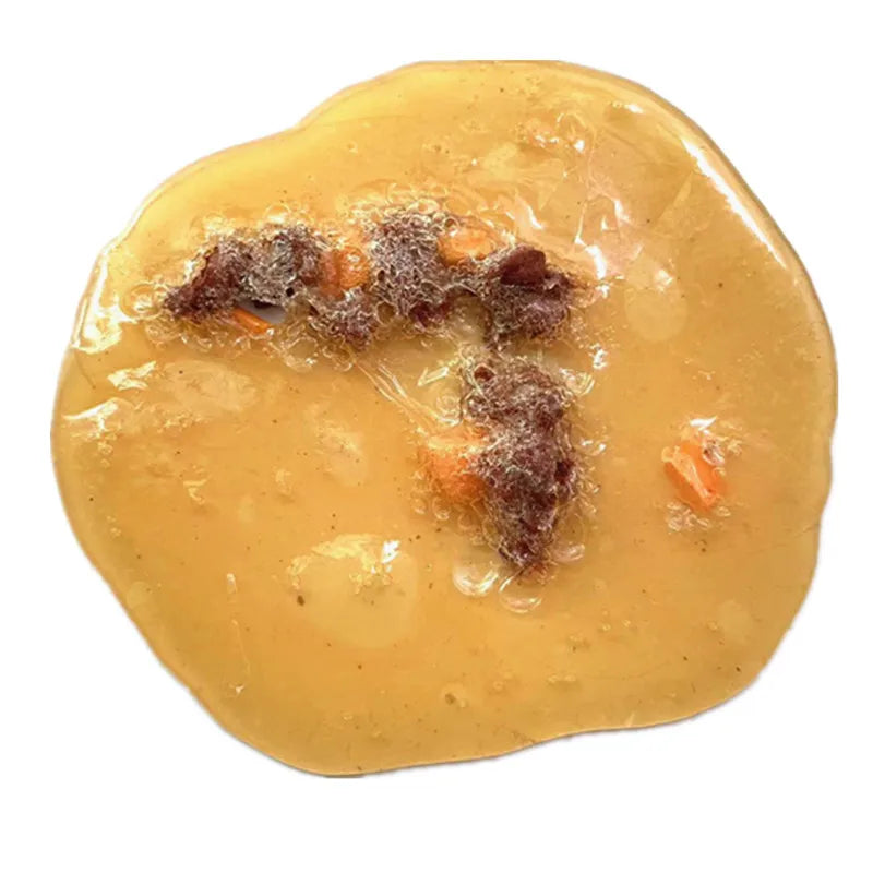 Realistic Fake Vomit Prank Toy – Gross Halloween & April Fool's Joke Prop